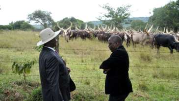 DRC War Brings Challenges For Museveni