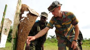 Affaire des officiers impayés : Les militaires belges en danger à Kananga? - JJ Wondo