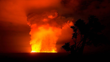 Les Congolais dansent au-dessus du volcan - Germain Nzinga