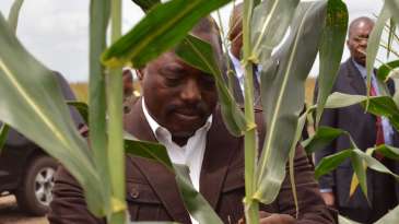 DR CONGO: The violence of coltan, purchase of a global silence by Ishiaba Kasonga and Serge Egola Angbakodolo
