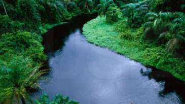 After plundering minerals, soon the plundering of the Congo freshwater, the blue gold of this century - Sinaseli Tshibwabwa
