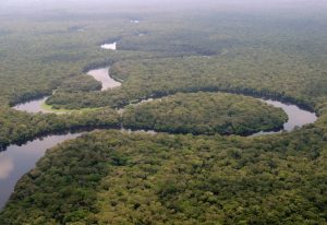 Parc national de la Salonga (République démocratique du Congo) © Kim S. Gjerstad