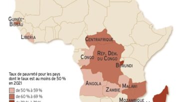 L’Afrique sera-t-elle la catastrophe du XXIe siècle ? », de Serge Menye
